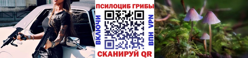Псилоцибиновые грибы Psilocybine cubensis  Олонец 